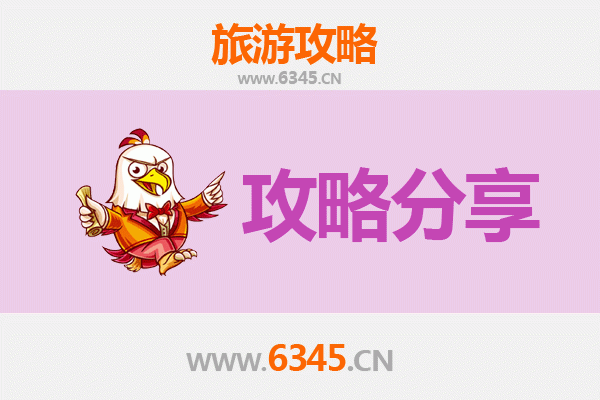 林芝到湄洲岛旅游攻略：跟团还是自由行选择指南